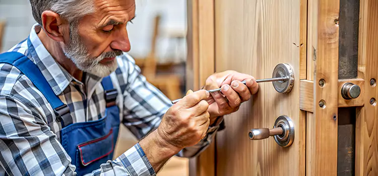 Mortise Replacement Lock Crystal Lake