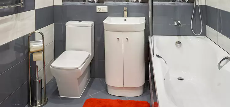 Hansgrohe Shaving Mirror Crystal Lake